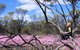 Talgomine Reserve - thumb 1