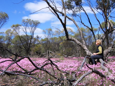 Talgomine Reserve - South Australia Travel 1