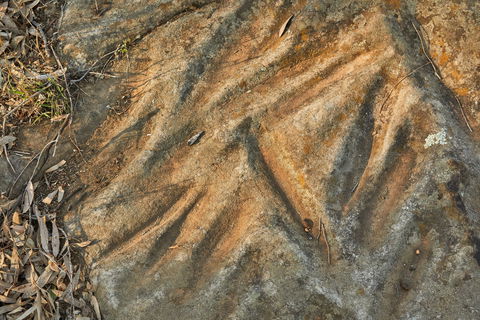 Terramungamine Rock Grooves - South Australia Travel 1