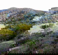 The Bellbird - South Australia Travel