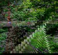 Thunderbird Park  - Tamborine Mountain Gold Coast Region - South Australia Travel