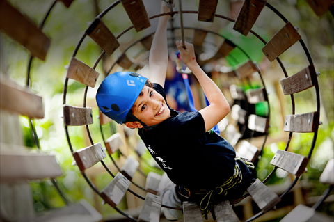 Thunderbird Park ® - Tamborine Mountain, Gold Coast Region - South Australia Travel 1