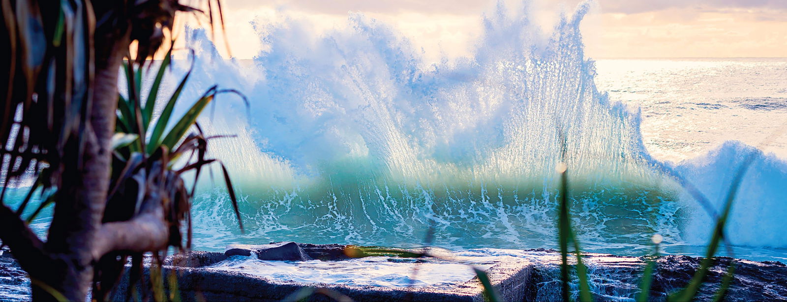 Tugun QLD South Australia Travel