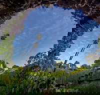 Umpherston Sinkhole - South Australia Travel