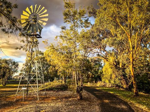 Windmill Walk - South Australia Travel 1