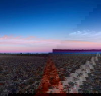 Yanga National Park - South Australia Travel