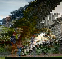 Aboriginal Heritage Walk - South Australia Travel