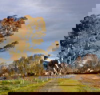 Adelong Falls Walk - South Australia Travel