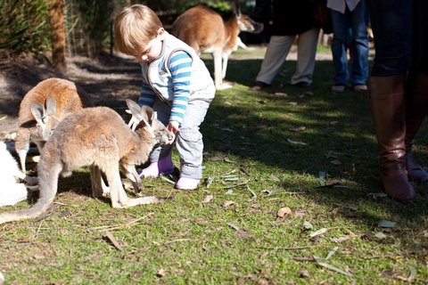 Animals And Family Fun - South Australia Travel 1