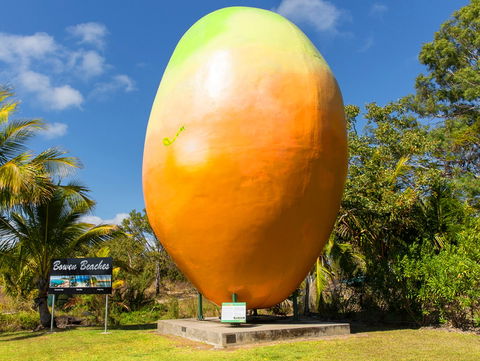 Big Mango - South Australia Travel 0