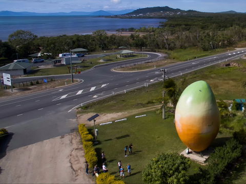 Big Mango - South Australia Travel 1
