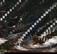 Boomerang Farm Bike Park - South Australia Travel