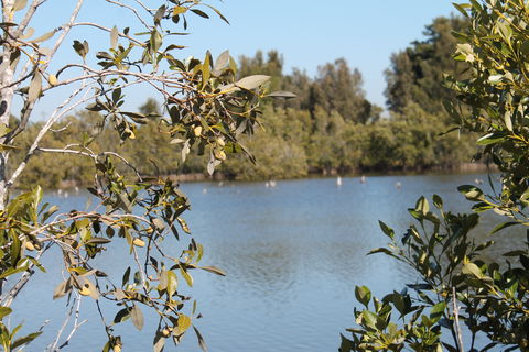 Boyters Lane Bird Hide - South Australia Travel 2
