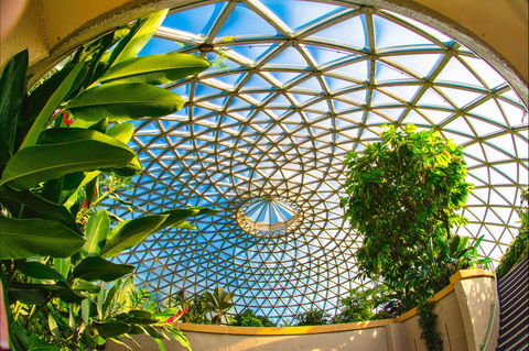 Brisbane Botanic Gardens Mount Coot-tha - South Australia Travel 0