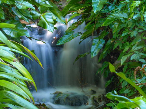 Brisbane Botanic Gardens Mount Coot-tha - South Australia Travel 1