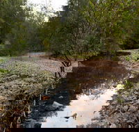 Budawang National Park - South Australia Travel