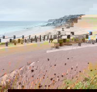 Coast to Vines Rail Trail - South Australia Travel