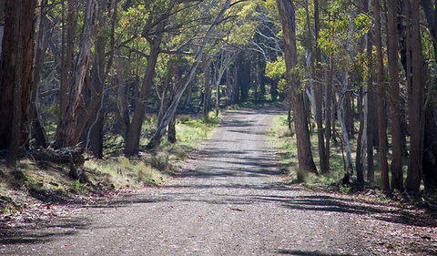 Coolah Tops National Park - South Australia Travel 0