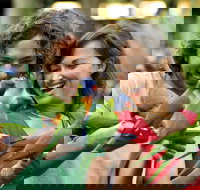 Currumbin Wildlife Sanctuary - South Australia Travel