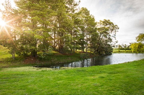 Curlewis Golf Club & The Range At Curlewis The Bellarine - South Australia Travel 1