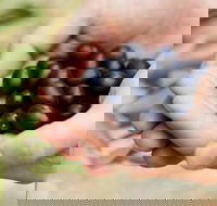 Eat Pick Grow Trail - Wanneroo and Chittering - South Australia Travel