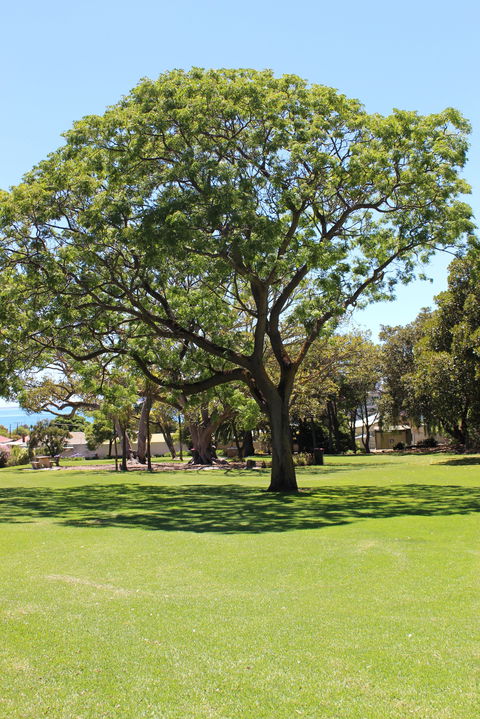 Flinders Park Playground - South Australia Travel 0