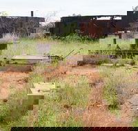 Ghans Bore No7 Govt Bore - South Australia Travel