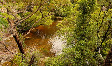 Girrakool Loop Track - South Australia Travel 0