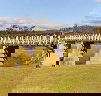 Historic Tabulam DeBurgh Timber Bridge - South Australia Travel