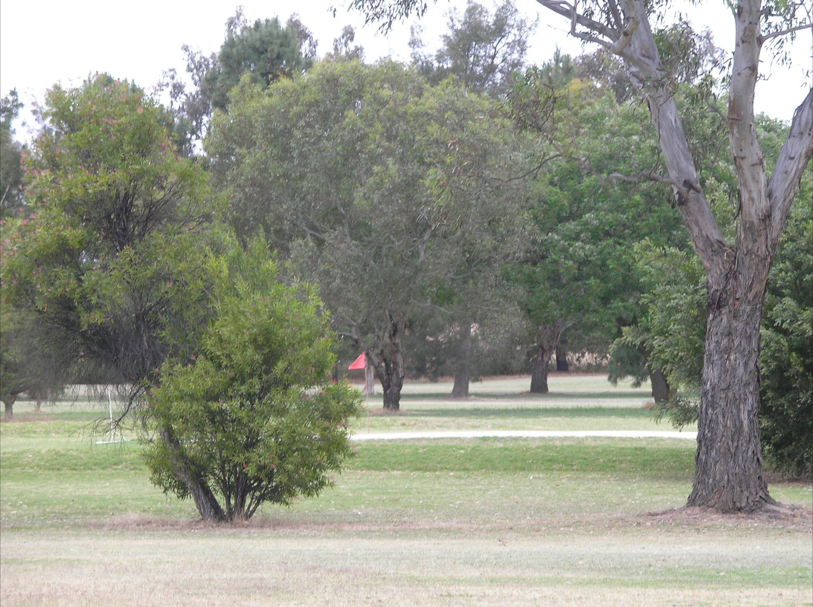 Bowna NSW South Australia Travel