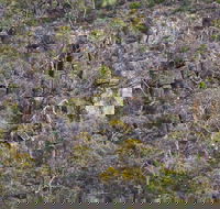 Horsnell Gully and Giles Conservation Parks - South Australia Travel