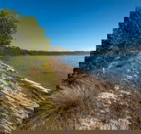 Jewfish Walk - South Australia Travel