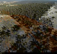 Julimar Date Garden - South Australia Travel