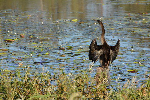 Lake Apex Park - South Australia Travel 0