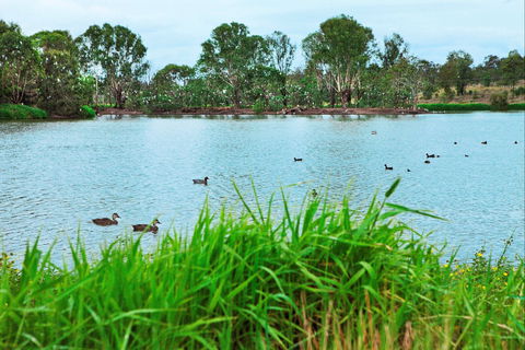 Lake Apex Park - South Australia Travel 1