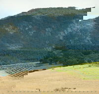 Langi Ghiran State Park - South Australia Travel