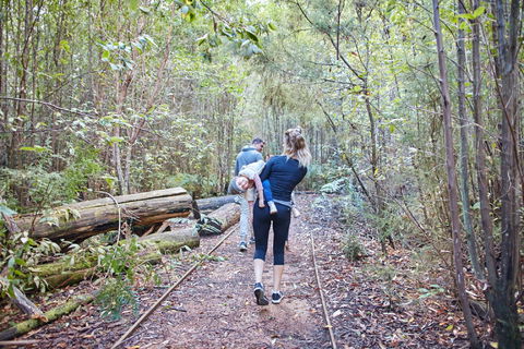 Lyrebird Circuit Walk - South Australia Travel 1