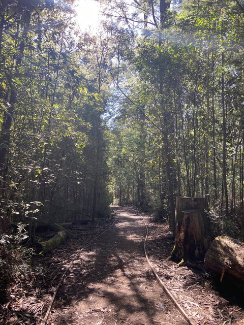 Lyrebird Circuit Walk - South Australia Travel 2