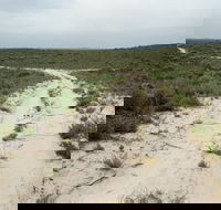Ngarkat Conservation Park - South Australia Travel