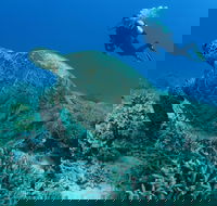 Pams Point - South Australia Travel