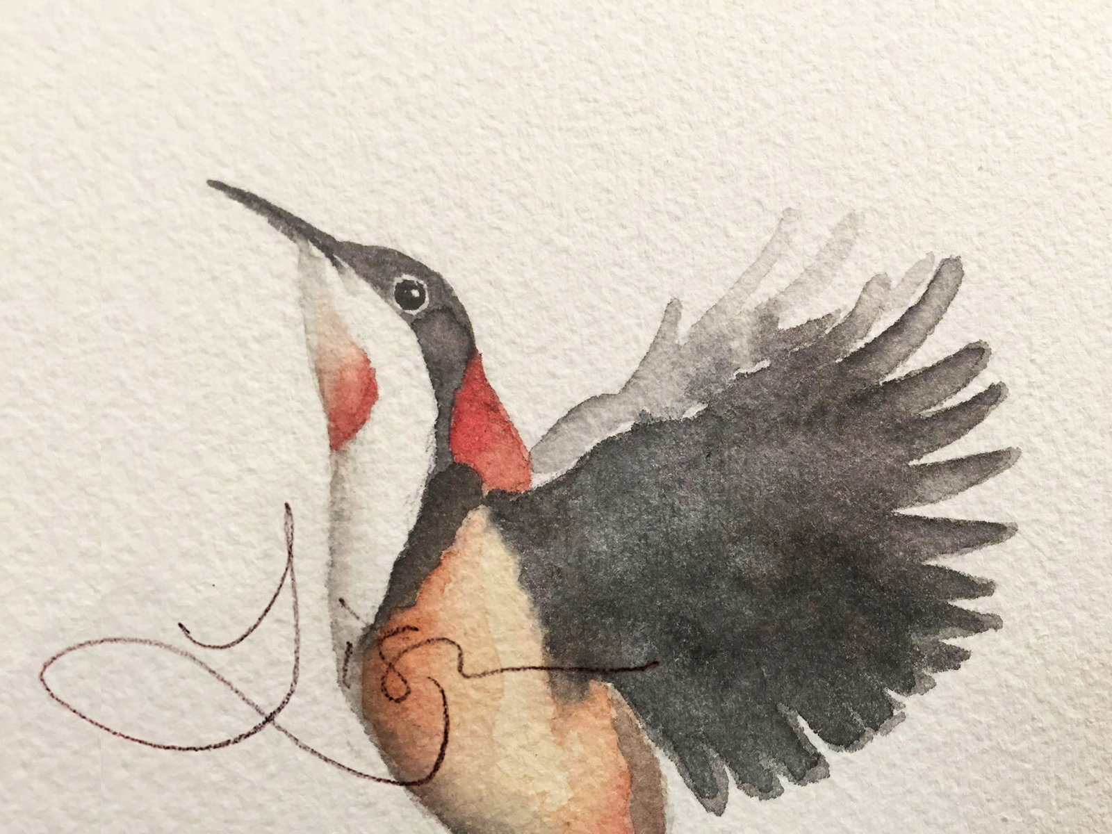 South Australia Travel