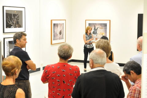 Pine Rivers Art Gallery - South Australia Travel 1
