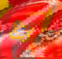 Raging Waters Sydney - South Australia Travel