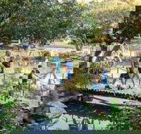 Rockhampton Botanic Gardens - South Australia Travel