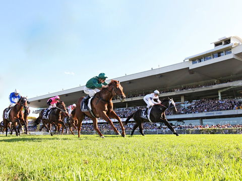 Rosehill Gardens Racecourse - South Australia Travel 0
