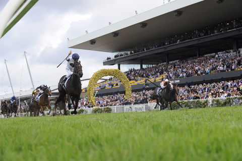 Rosehill Gardens Racecourse - South Australia Travel 1