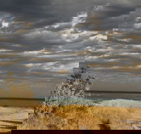 Rosebud Beach - South Australia Travel