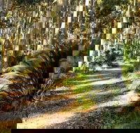 Square Head Track 2 - South Australia Travel