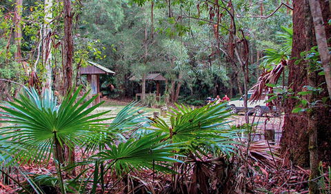Sugar Creek Picnic Area - South Australia Travel 0