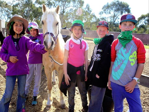 The Saddle Camp - South Australia Travel 0